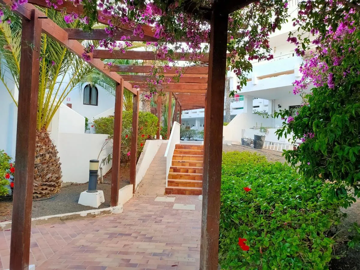 Flor De Cactus Apartment Costa Teguise 0*,