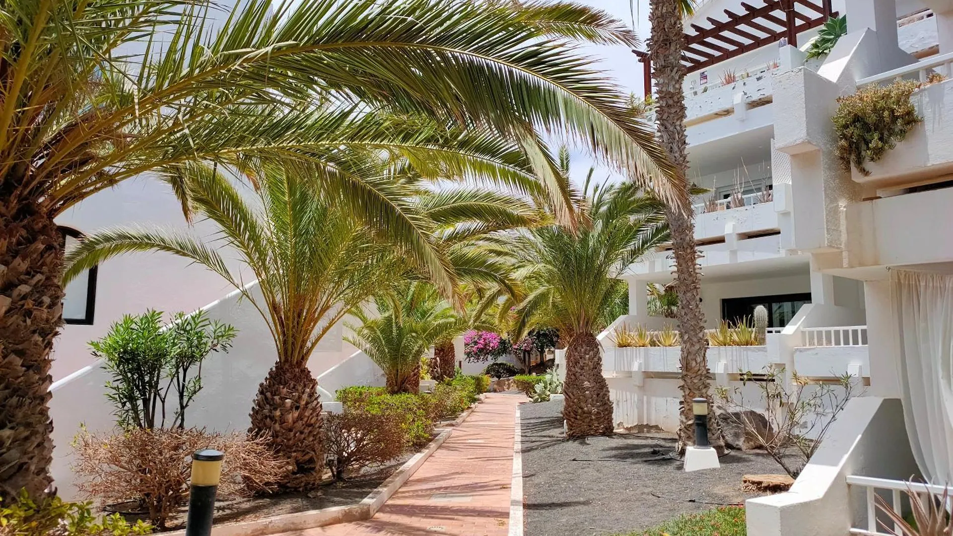 Flor De Cactus Apartment Costa Teguise